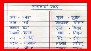 trunk meaning in hindi 3