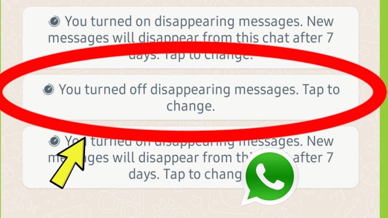 turned off disappearing messages meaning in hindi - Hình 5