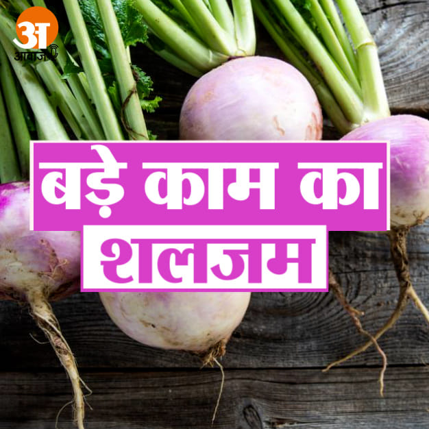 शलजम का हिंदी अर्थ: एक विस्तृत अवलोकन