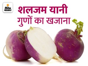 turnip meaning in hindi 2