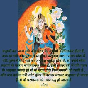 twin flame meaning in hindi