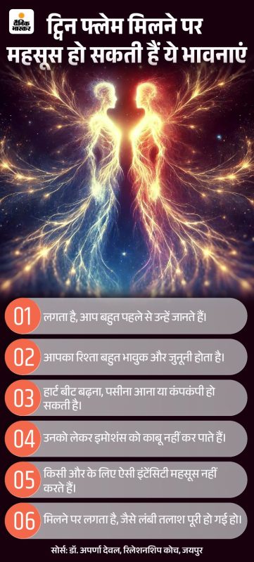 twin flame meaning in hindi - Hình 5