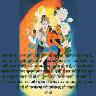 twin flame meaning in hindi - Hình 1
