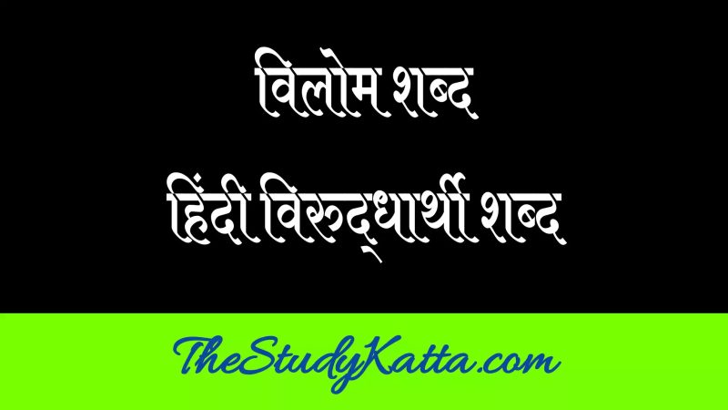 unable meaning in hindi 2