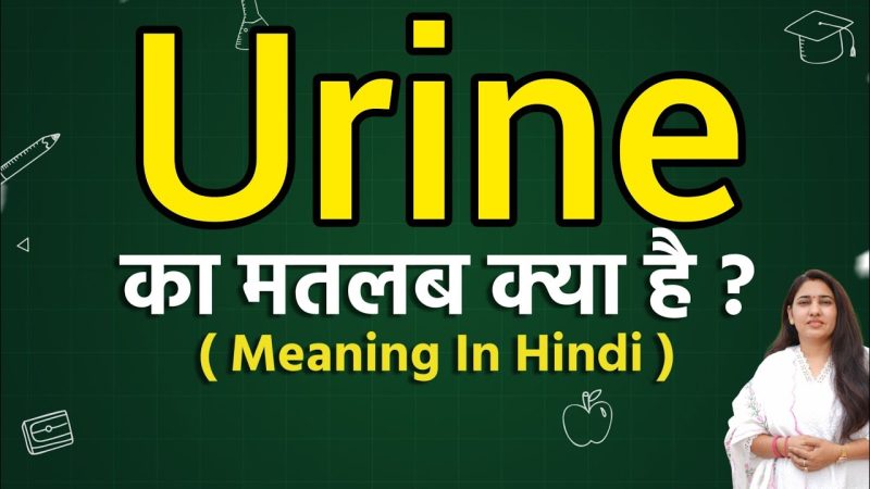 urine meaning in hindi - Hình 4