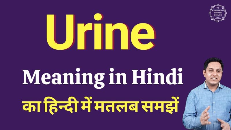 urine meaning in hindi - Hình 1