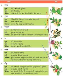 usually meaning in hindi 2