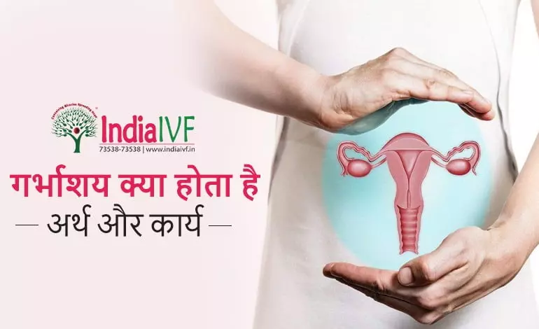 गर्भाशय के विभिन्न हिंदी पर्याय (Garbhashay ke vibhinn hindi paryay)
