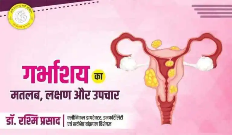 गर्भाशय स्वास्थ्य और संबंधित शब्दावली (Garbhashay swasthya aur sambandhit shabdavali)