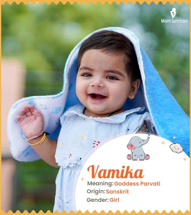वामिका नाम का अर्थ: संक्षिप्त विवरण (Vamika Naam Ka Arth: Sankshipt Vivaran)