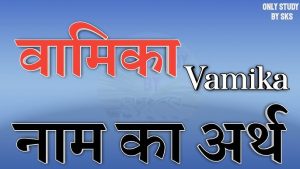 vamika name meaning in hindi 4