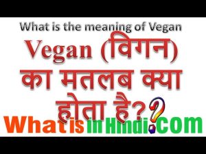 vegan meaning in hindi 1