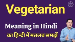 vegetarian meaning in hindi
