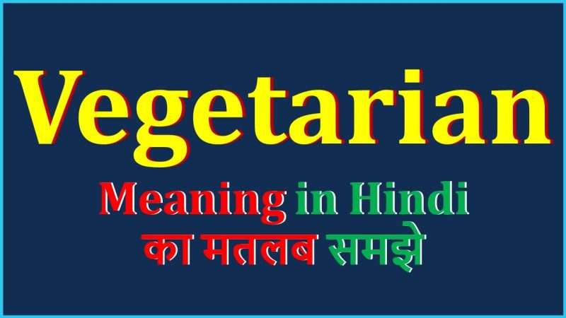 vegetarian meaning in hindi - Hình 4