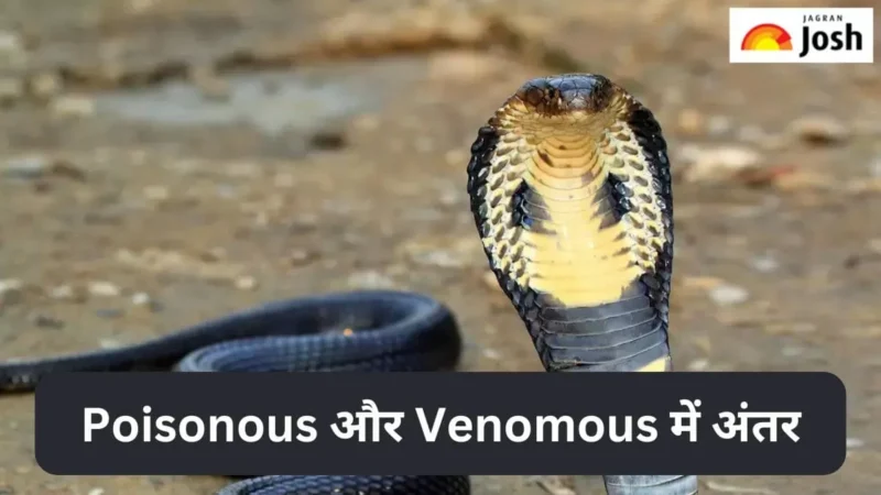 venomous meaning in hindi - Hình 4