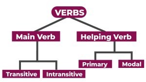 Verb in Hindi- Definitions, Rules and Examples
