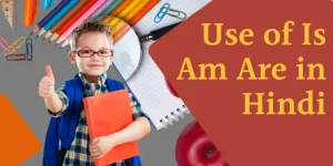 verb in hindi definitions rules and examples 14