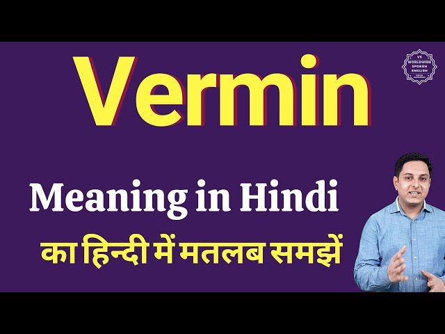 vermin meaning in hindi - Hình 2