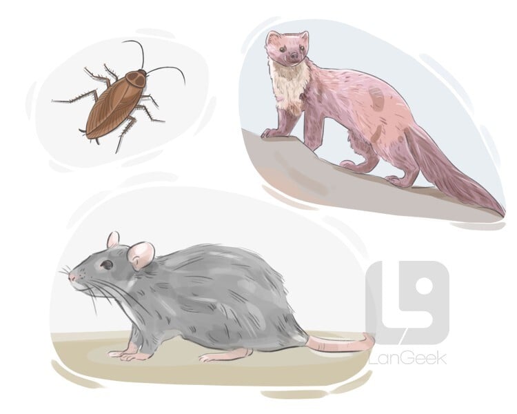 vermin meaning in hindi - Hình 5