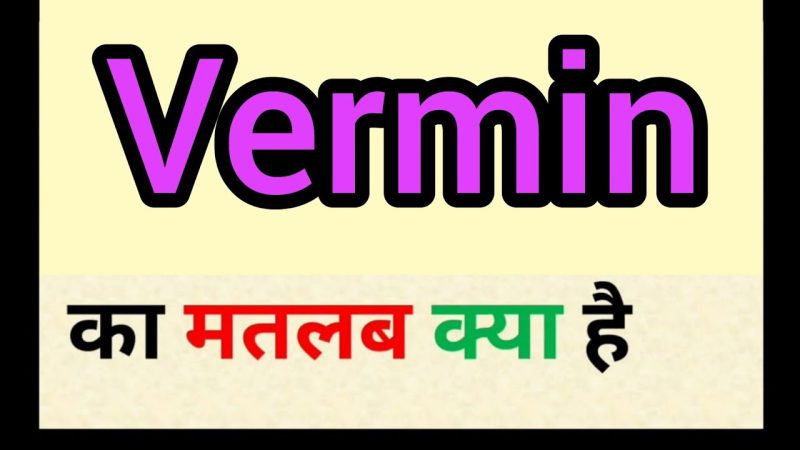 vermin meaning in hindi - Hình 1