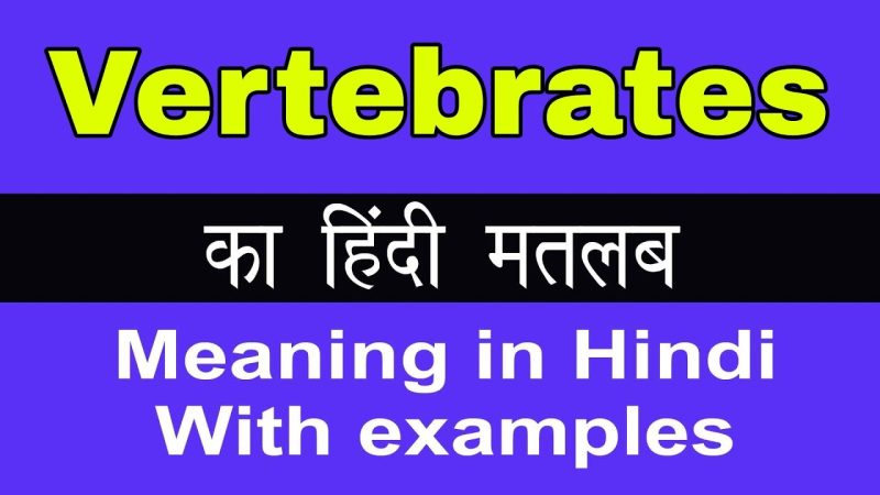 vertebrates meaning in hindi - Hình 2