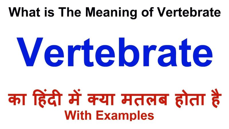 vertebrates meaning in hindi - Hình 4