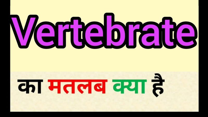 vertebrates meaning in hindi - Hình 1