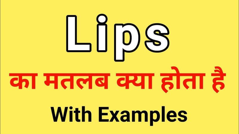 ऊर्ध्वाधर होंठ का अर्थ हिंदी में: एक संक्षिप्त परिचय (Vertical lips meaning in hindi: Ek sankshipt parichay)
