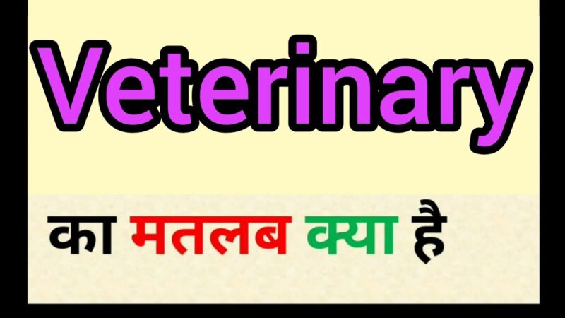 veterinary meaning in hindi - Hình 2