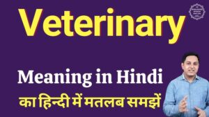 veterinary meaning in hindi