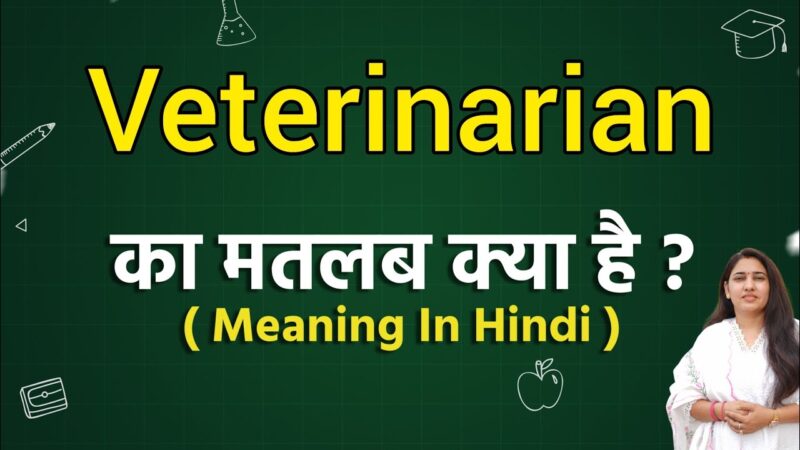 veterinary meaning in hindi - Hình 4