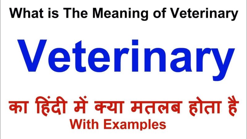 veterinary meaning in hindi - Hình 5