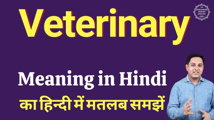 veterinary meaning in hindi - Hình 1