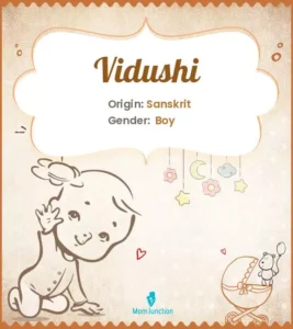 vidushi meaning in hindi