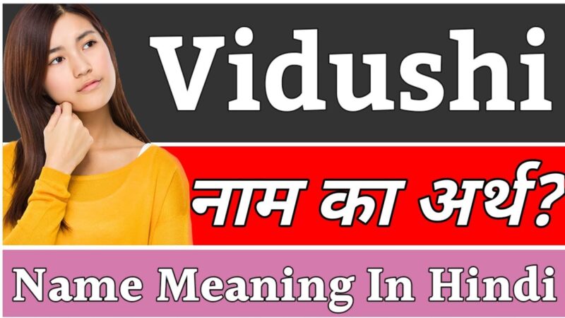 vidushi meaning in hindi - Hình 3