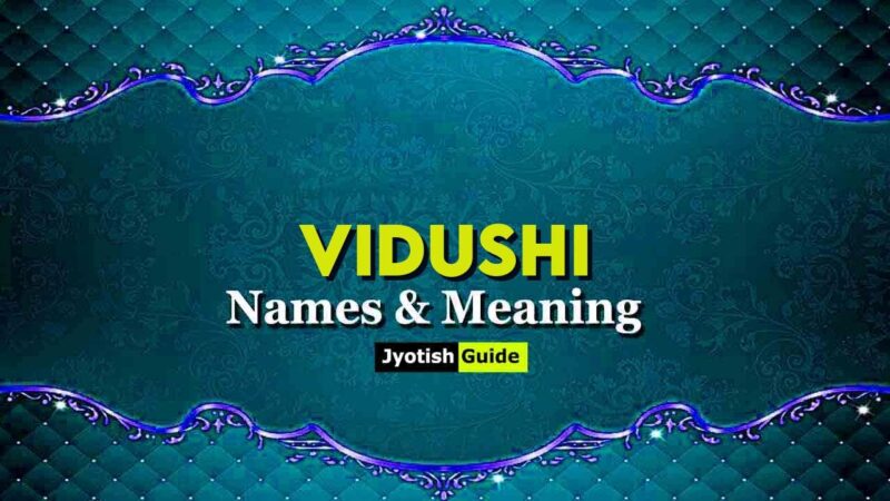 vidushi meaning in hindi - Hình 4