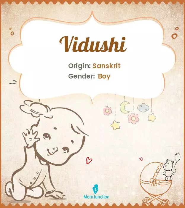 vidushi meaning in hindi - Hình 1