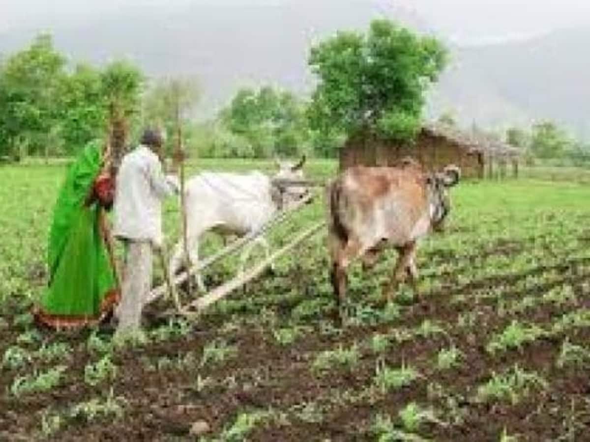 गाँव शब्द का विस्तृत अर्थ और भाव