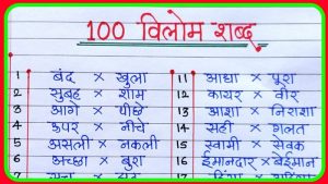 vindictive meaning in hindi 3