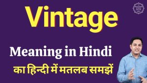 vintage meaning in hindi 2