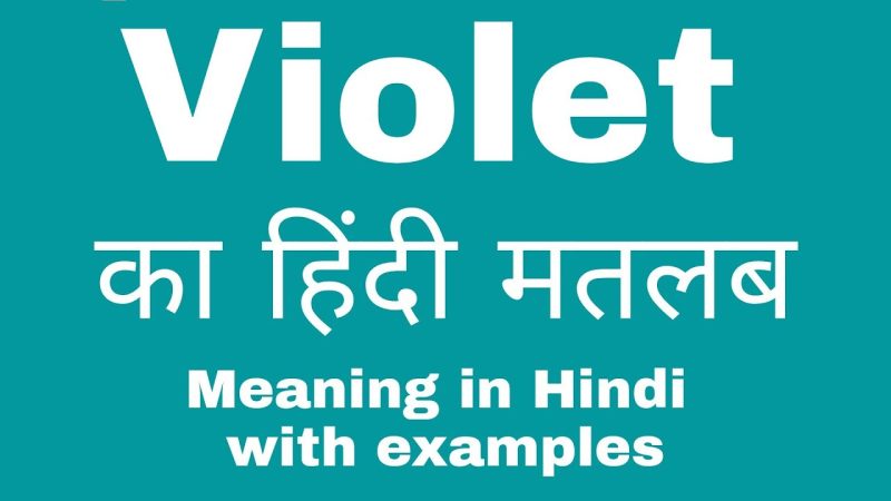 वायलेट का हिंदी अर्थ और मुख्य अनुवाद