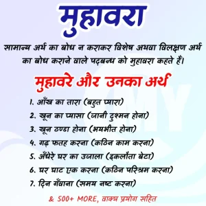 visit meaning in hindi 1