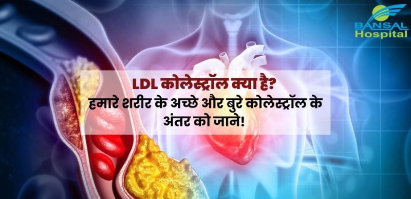 वीएलडीएल कोलेस्ट्रॉल: हिंदी में अर्थ और बुनियादी जानकारी