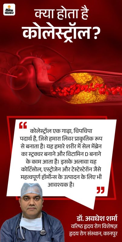 वीएलडीएल कोलेस्ट्रॉल को कम करने के प्राकृतिक तरीके: आहार और जीवनशैली