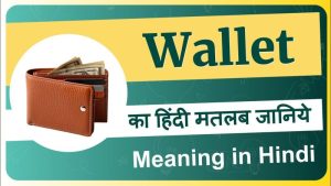 wallet meaning in hindi