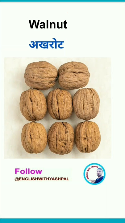 walnut meaning in hindi - Hình 3