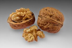 walnut meaning in hindi