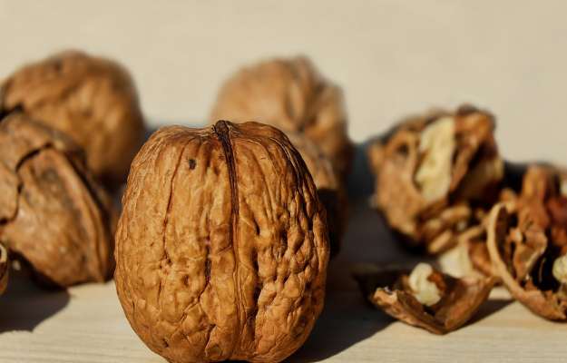 walnut meaning in hindi - Hình 4