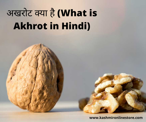 walnut meaning in hindi - Hình 5