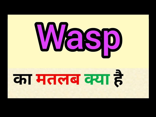 wasp meaning in hindi 1